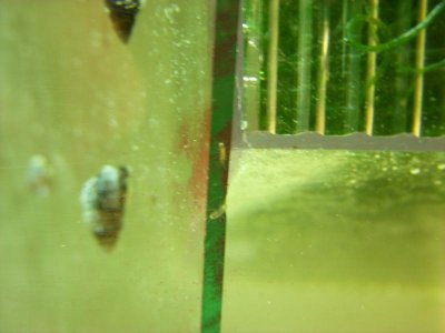 dscn1203.jpg