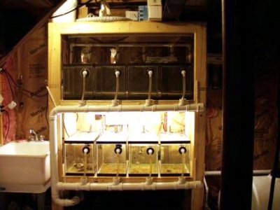 rack1.jpg