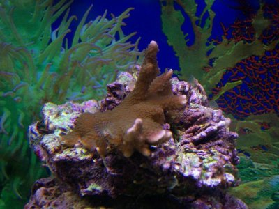 100_4775.jpg