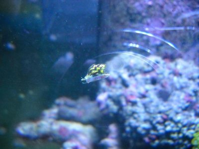 snail2.jpg