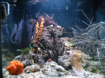 DSCF2147.jpg