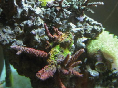 IMG_0377.jpg