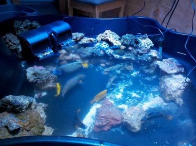 2011-10-24_00-23-20_991.jpg 2011-10-24_00-23-20_991.jpg