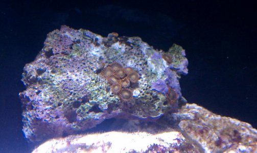 IMAG0303.jpg