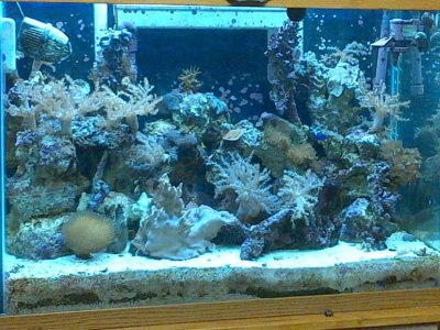 1tank10-11.jpg