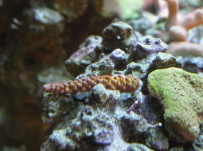 IMG_0379.jpg