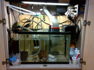 sump.jpg