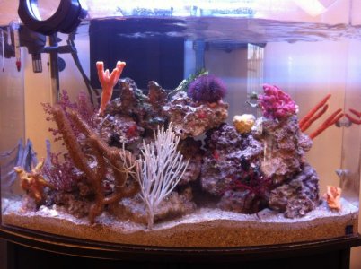 tankpic.jpg