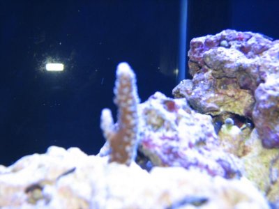 IMG_0229.jpg