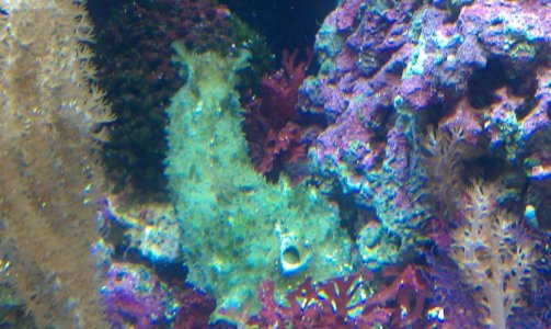 IMAG0451.jpg IMAG0451.jpg