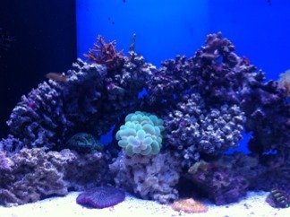 ImageUploadedByTapatalk1318100495.932381.jpg ImageUploadedByTapatalk1318100495.932381.jpg