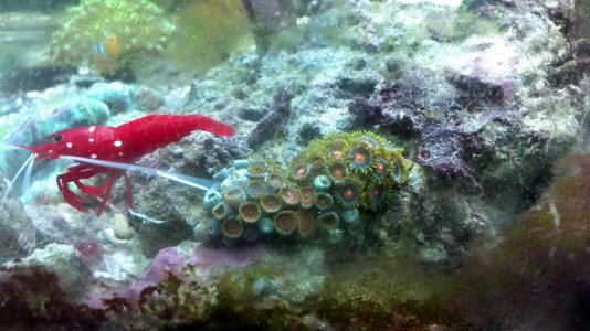 2011-10-08_22-47-44_764.jpg