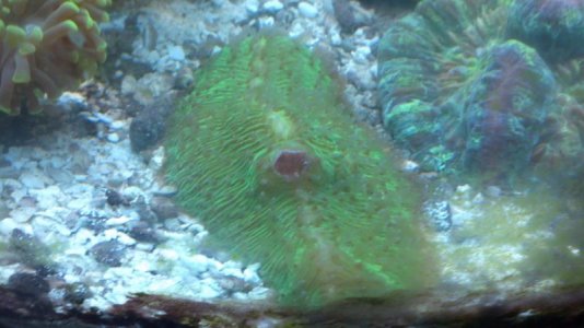 2011-10-08_23-36-18_581.jpg