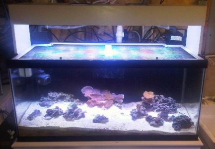 40b w Aquastyle LED.jpg