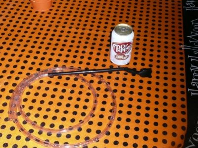 One mo, and 2 week old fry 027.jpg