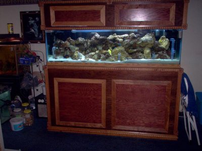 My $150 craigslist bargain.jpg