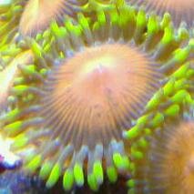 2011-09-11 21.48.19-1-1.jpg