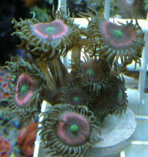 2011-09-11 21.47.24-1.jpg