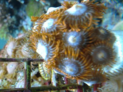 2011-09-11 21.52.27.jpg