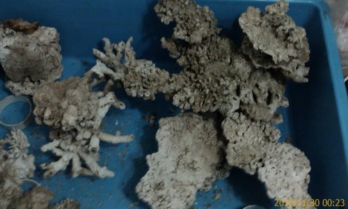 rock scape.jpg