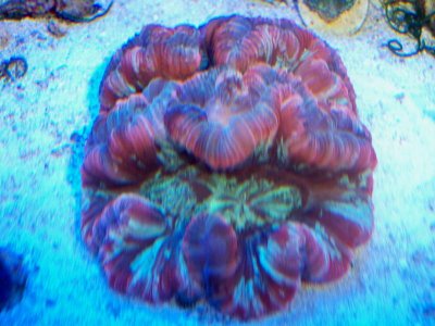 100_2045.jpg