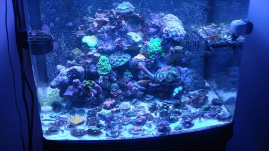 from old to new 003.jpg