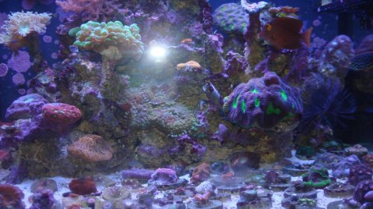 from old to new 005.jpg