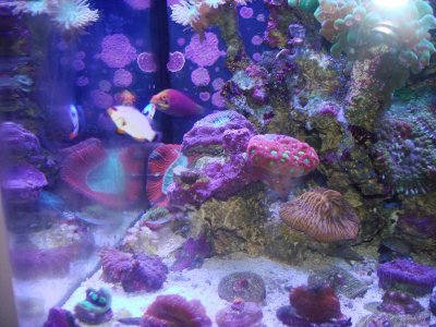 from old to new 023.jpg