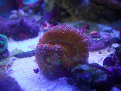 from old to new 017.jpg