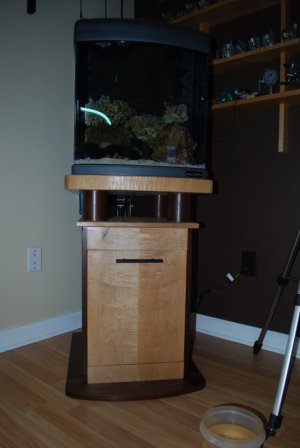 20111011_1955 (536 x 800).jpg