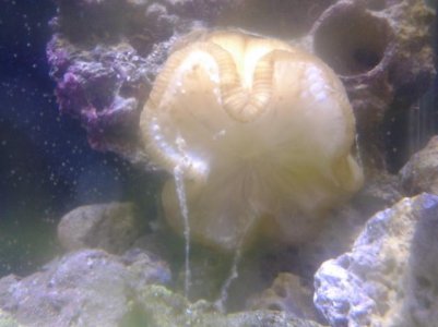 2011-11-02 23.53.14.jpg