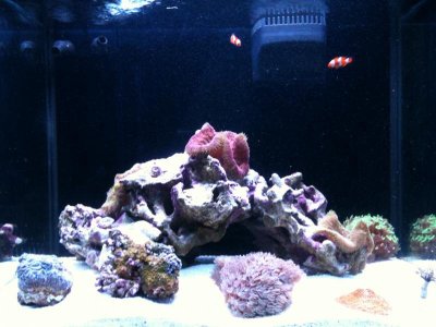 IMG_0139.jpg