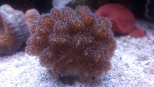 2011-10-20_20-32-00_462.jpg