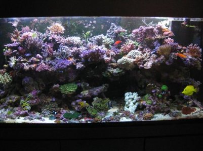 IMG_6658.jpg