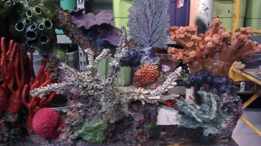 IMAG0631.jpg