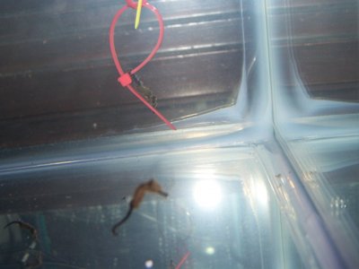 11-5-12 pics 002.JPG