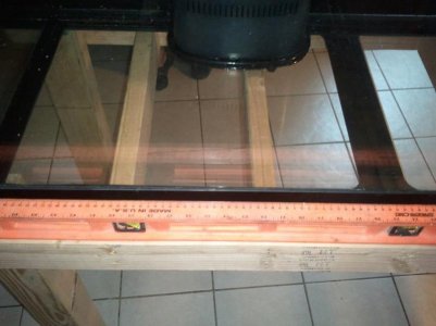 2011-11-13 15.09.17.jpg