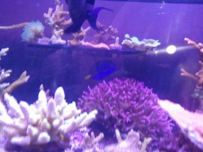 2011-11-01 20.14.42.jpg