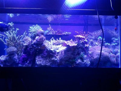 2011-11-01 19.54.12.jpg