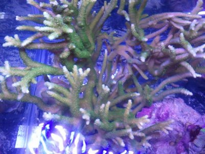 2011-11-01 19.53.22.jpg