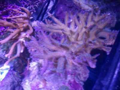 2011-11-01 19.53.13.jpg