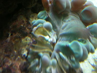 IMG_1120.jpg