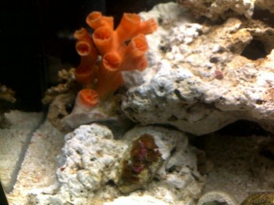 08112011282.jpg