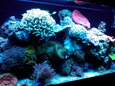 IMG02283-20111015-1459.jpg
