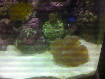 IMG_0128.jpg