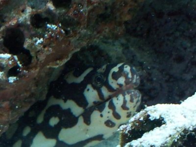 2011-10-26 14.22.21.jpg