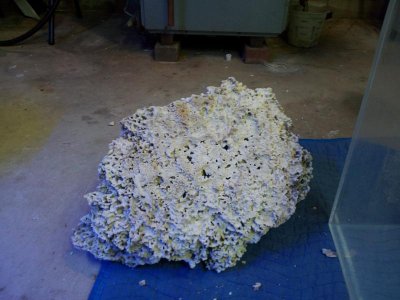 2011-11-18 20.15.58.jpg