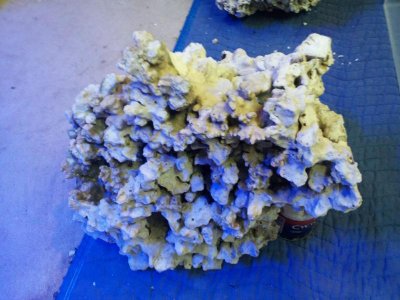 2011-11-18 20.15.33.jpg