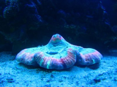 IMG_1285.jpg