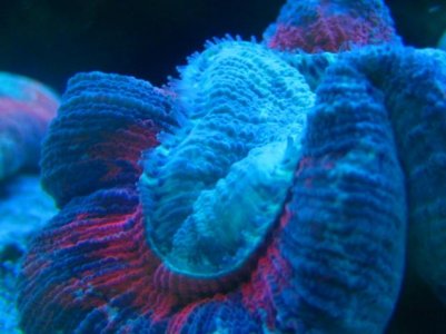 IMG_1288.jpg